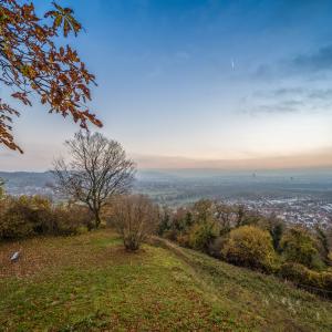 Vue depuis le Tüllinger©Tourist-Information Lörrach